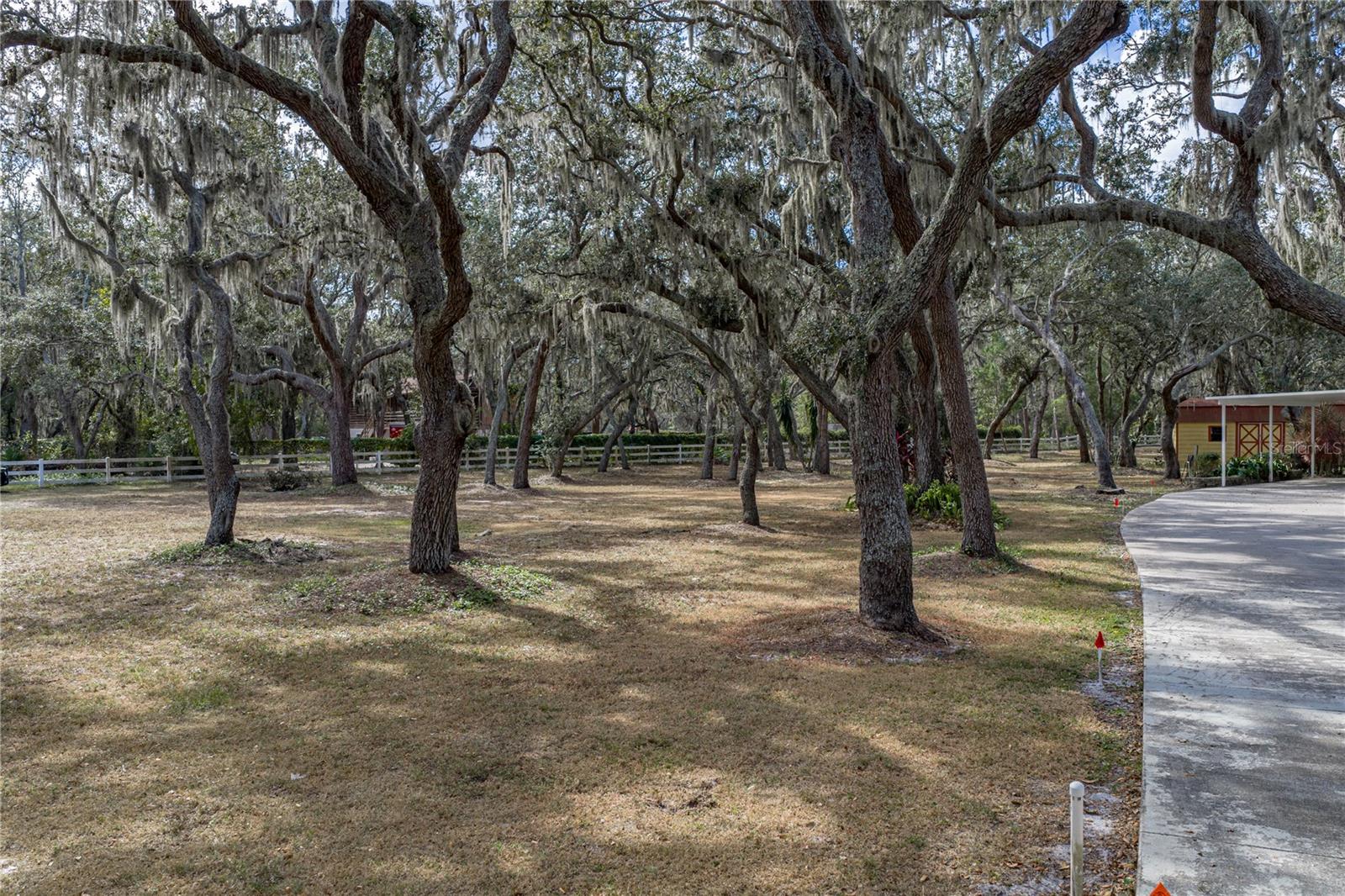 Listing photo id 8 for 10921 Mcmullen Road