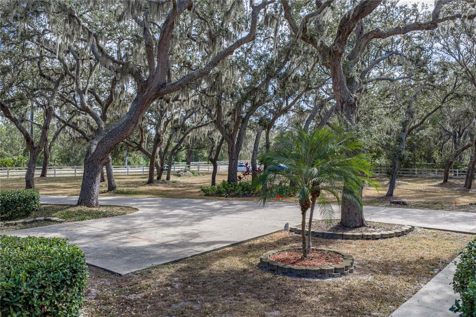 Listing photo id 12 for 10921 Mcmullen Road