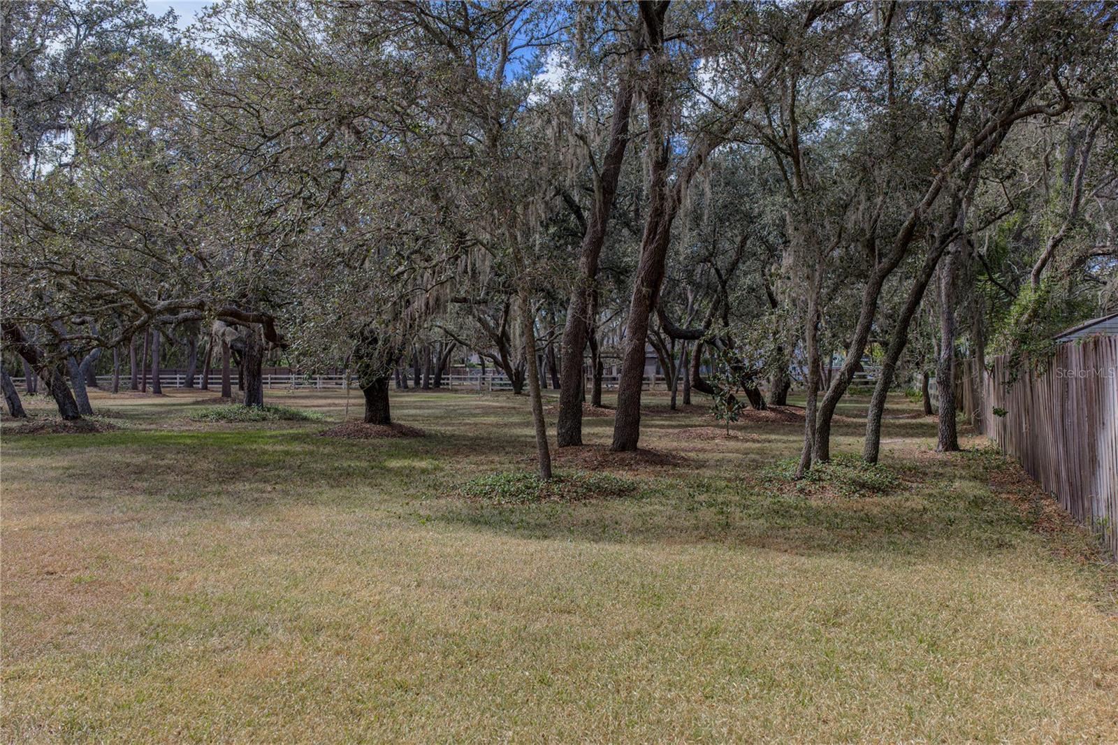 Listing photo id 68 for 10921 Mcmullen Road