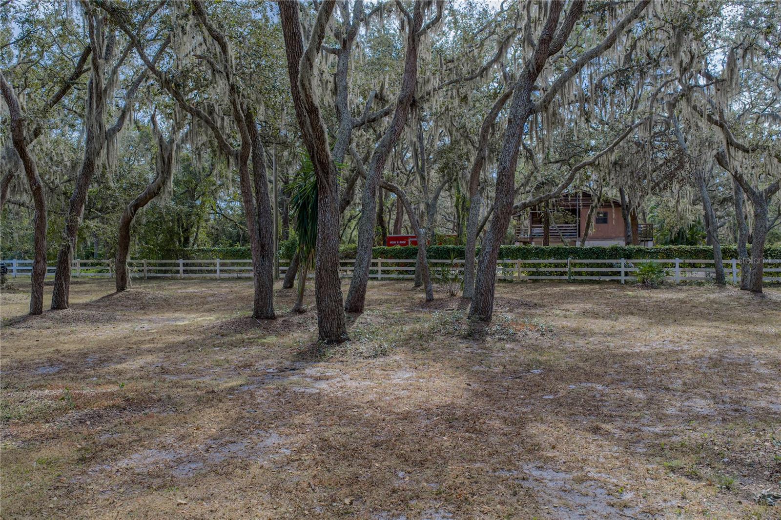 Listing photo id 69 for 10921 Mcmullen Road