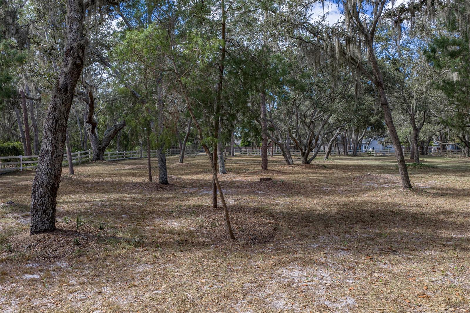 Listing photo id 70 for 10921 Mcmullen Road