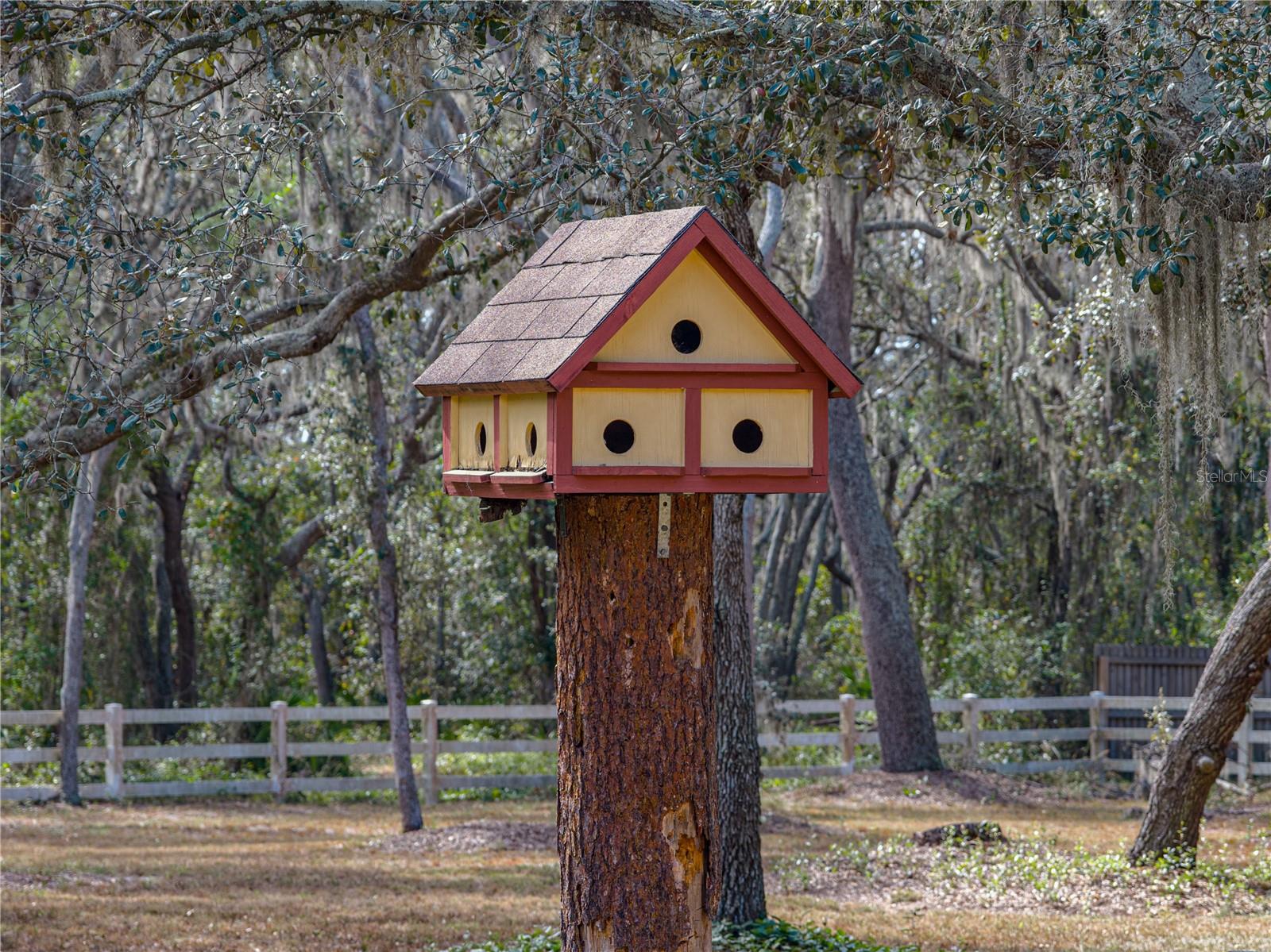 Listing photo id 72 for 10921 Mcmullen Road