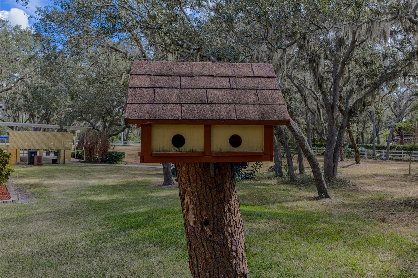 Listing photo id 73 for 10921 Mcmullen Road