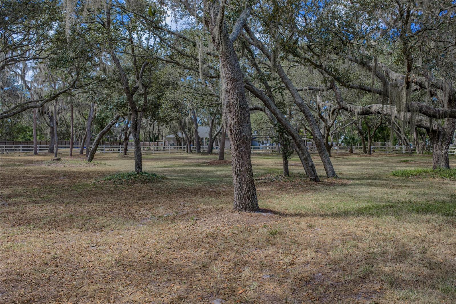 Listing photo id 74 for 10921 Mcmullen Road