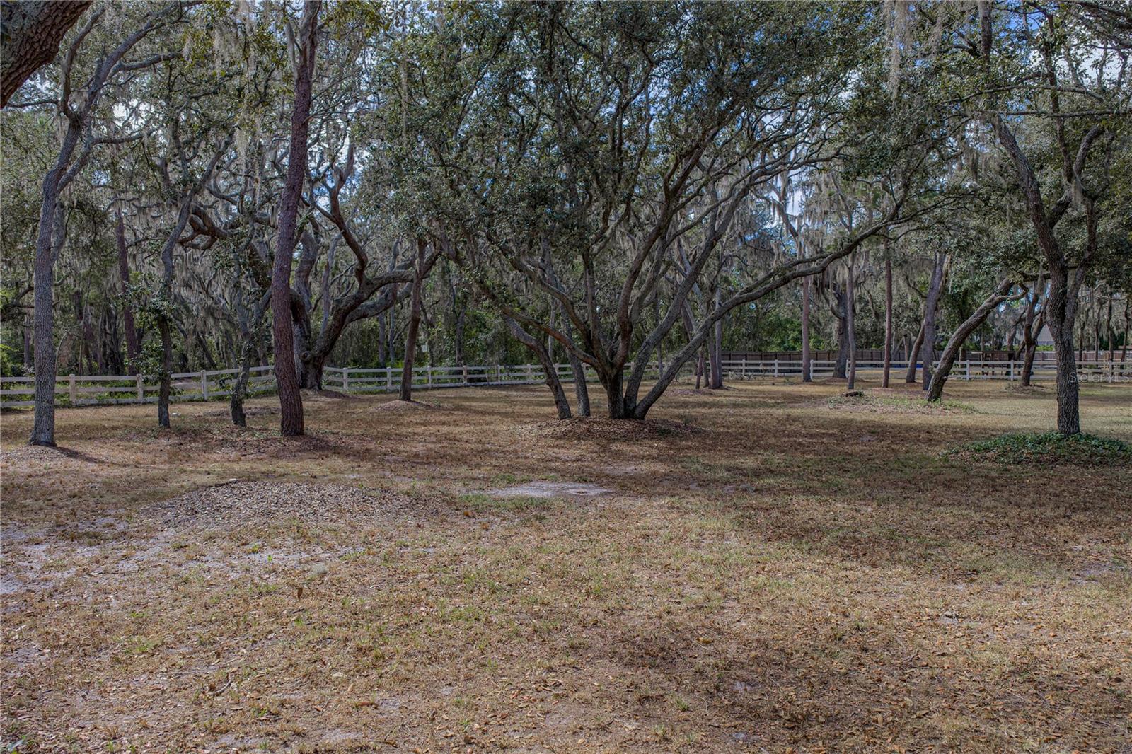 Listing photo id 75 for 10921 Mcmullen Road
