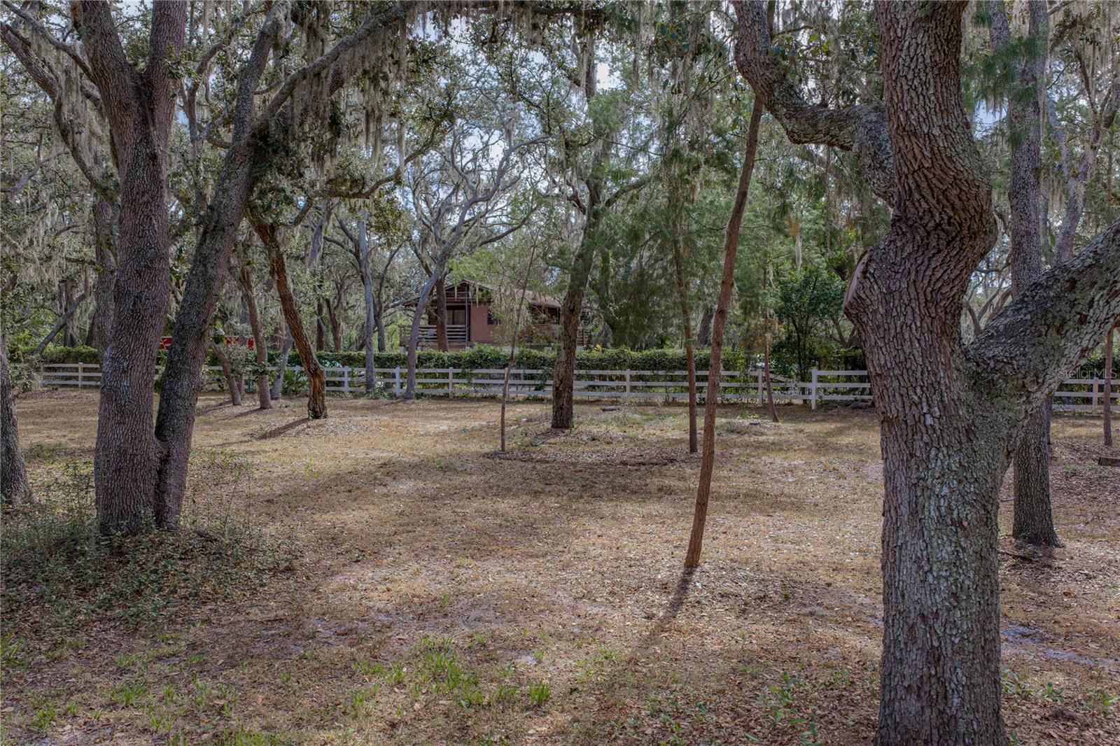 Listing photo id 76 for 10921 Mcmullen Road