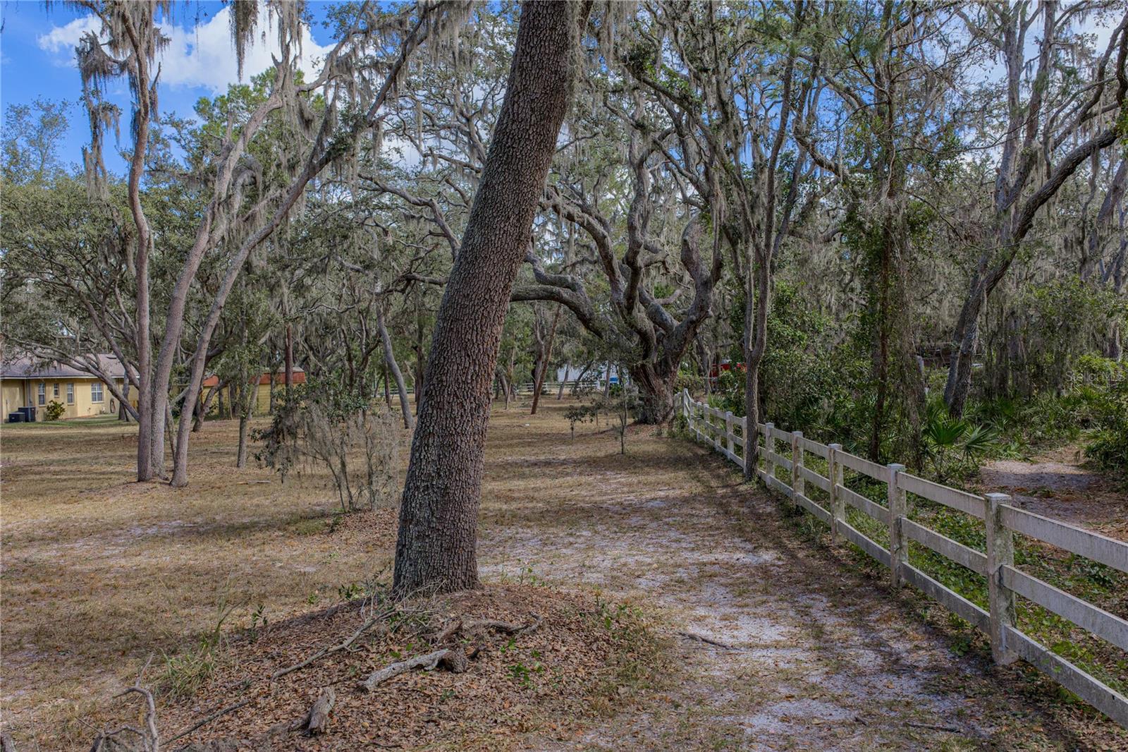 Listing photo id 77 for 10921 Mcmullen Road