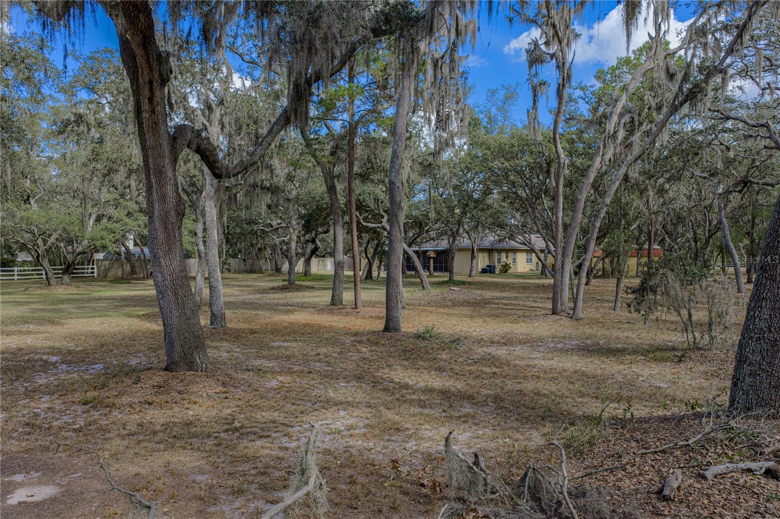 Listing photo id 78 for 10921 Mcmullen Road
