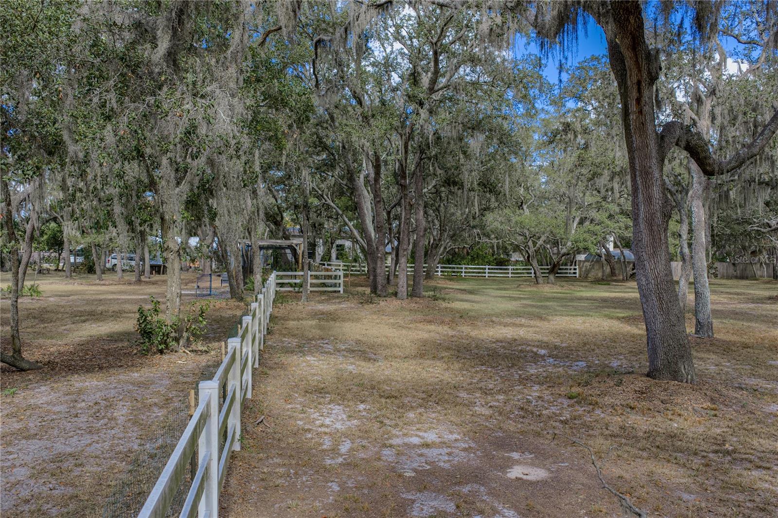 Listing photo id 79 for 10921 Mcmullen Road