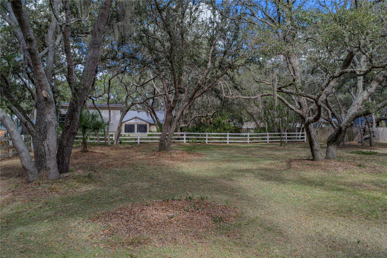 Listing photo id 80 for 10921 Mcmullen Road