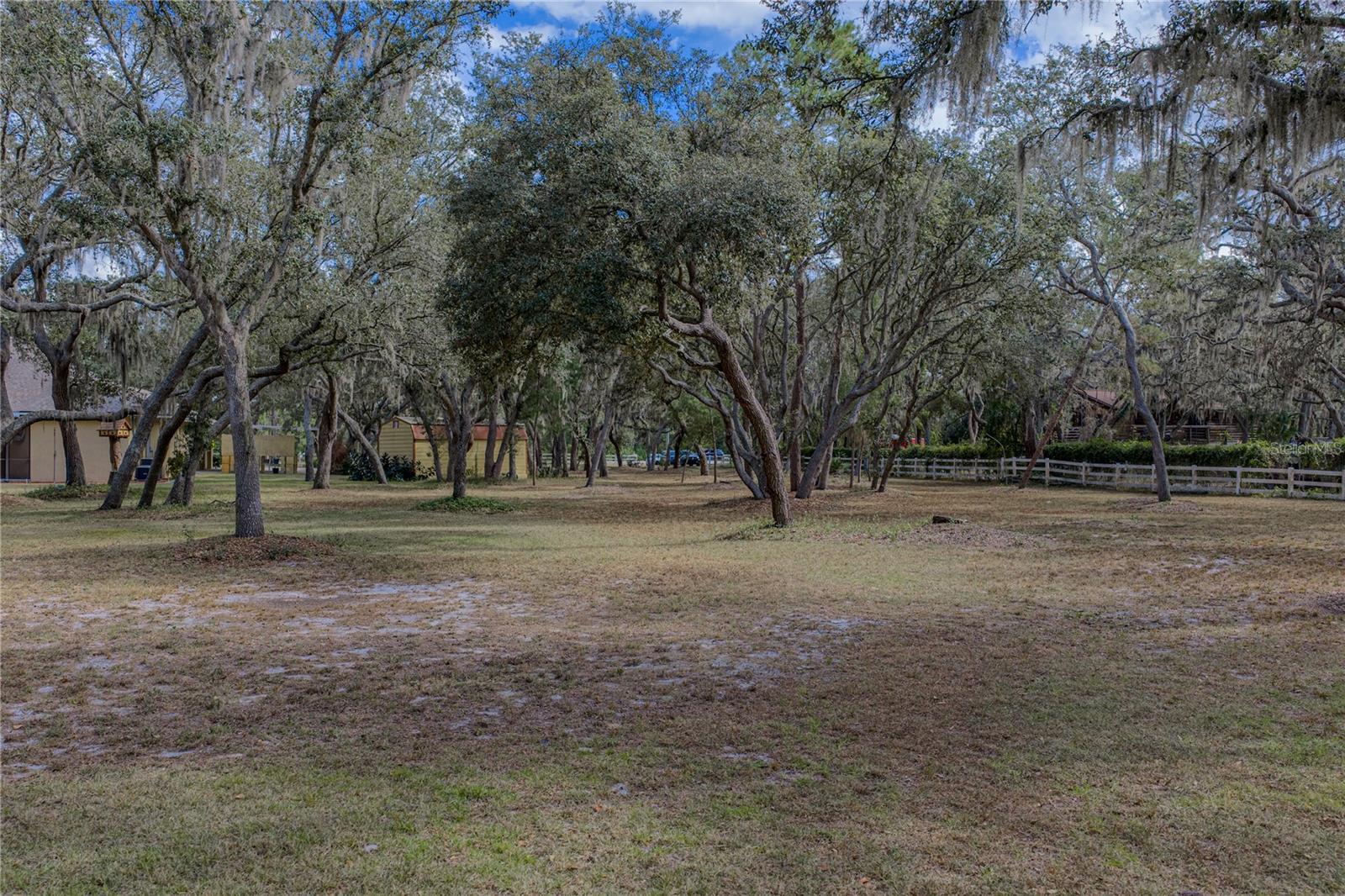 Listing photo id 82 for 10921 Mcmullen Road