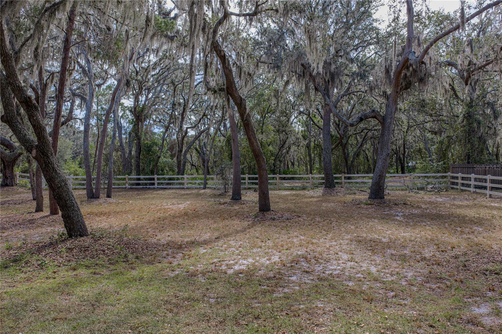 Listing photo id 83 for 10921 Mcmullen Road