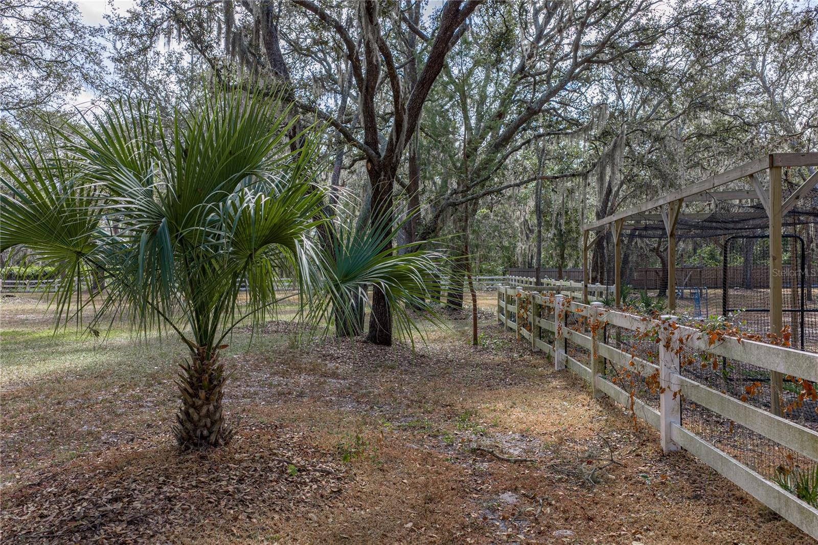 Listing photo id 84 for 10921 Mcmullen Road