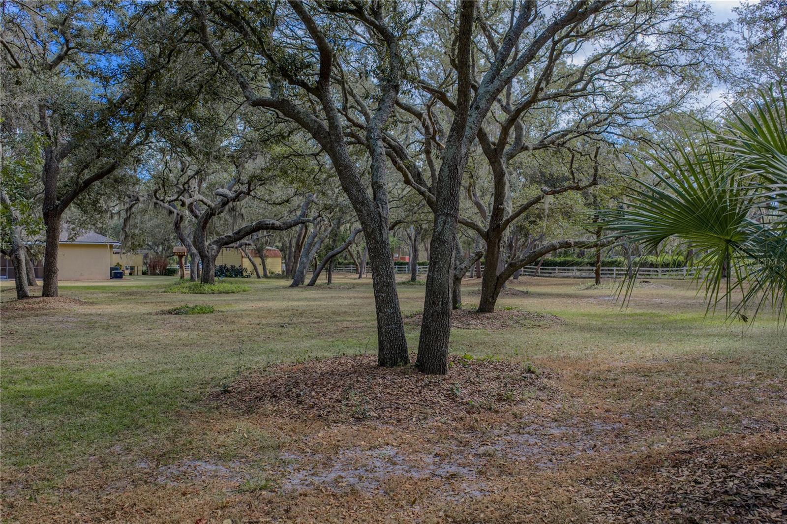 Listing photo id 85 for 10921 Mcmullen Road