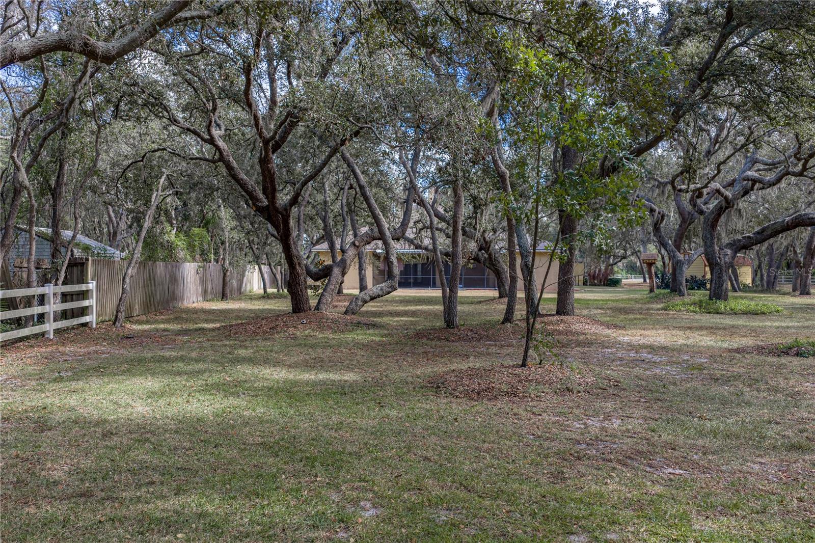 Listing photo id 86 for 10921 Mcmullen Road