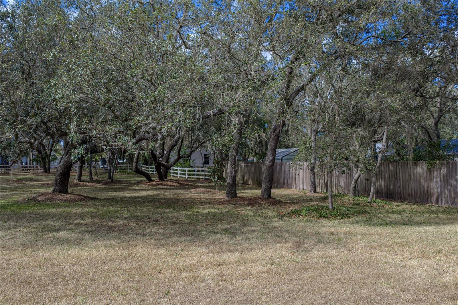 Listing photo id 87 for 10921 Mcmullen Road