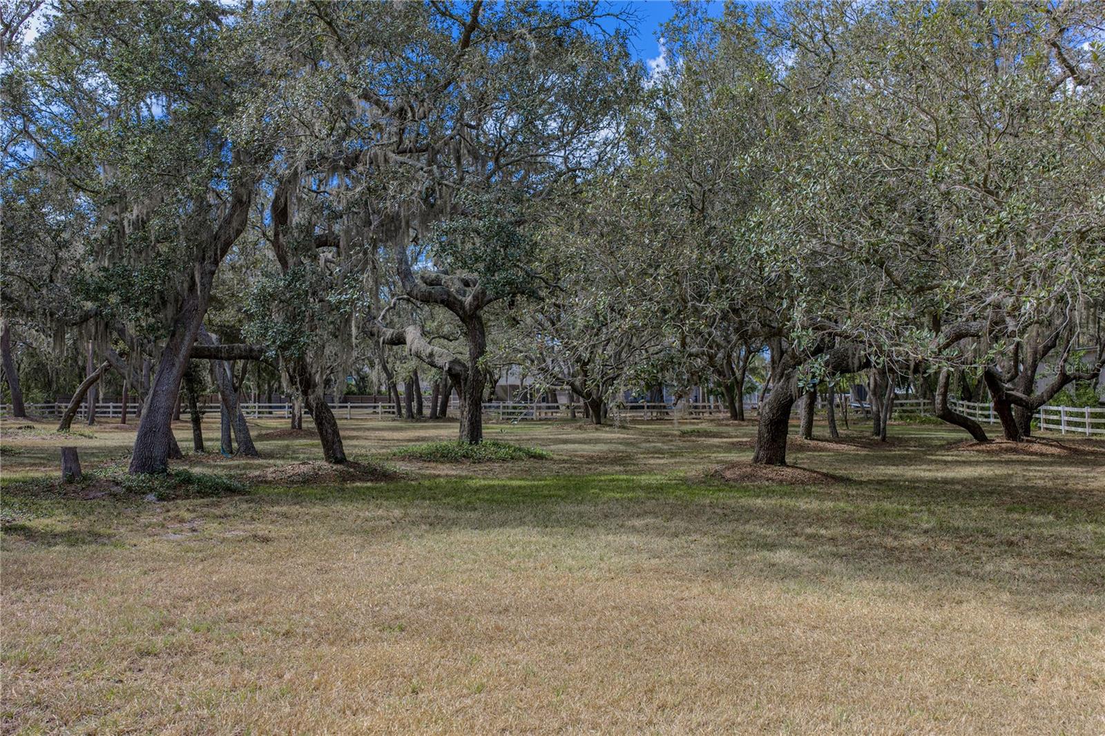 Listing photo id 88 for 10921 Mcmullen Road