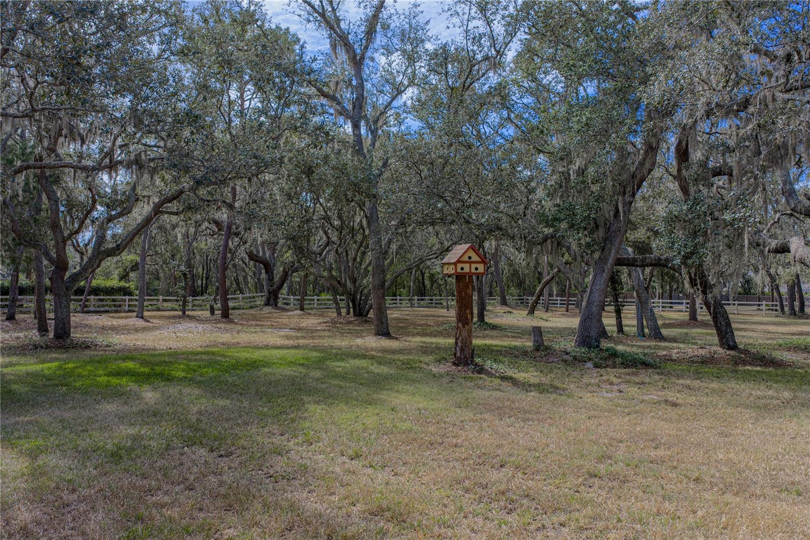 Listing photo id 89 for 10921 Mcmullen Road