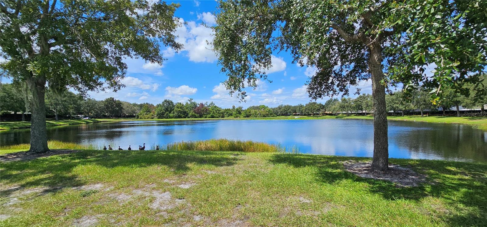 Image 25 of 31 For 12425 Fairlawn Drive