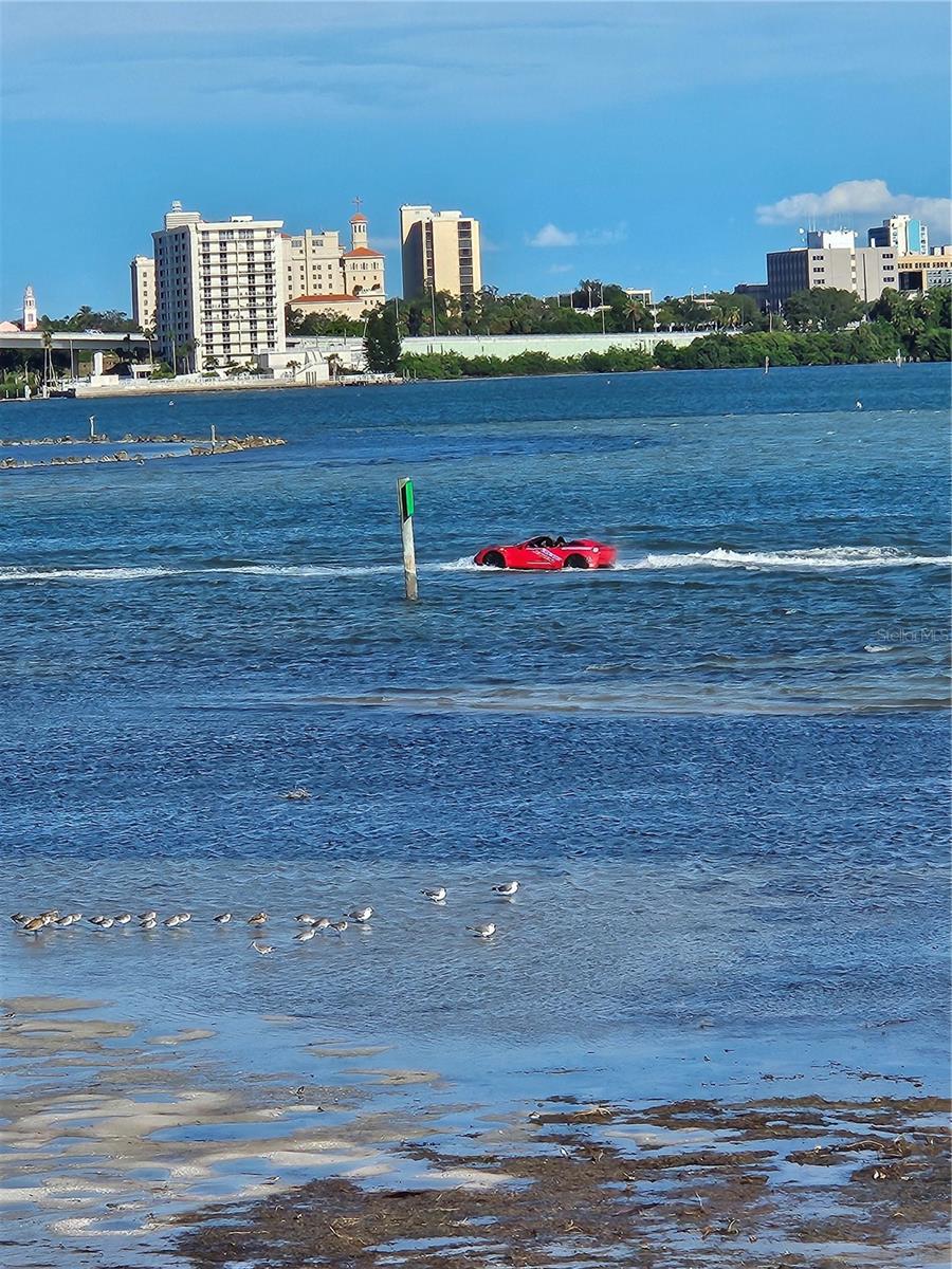 Image 22 of 25 For 800 Gulfview Boulevard 607