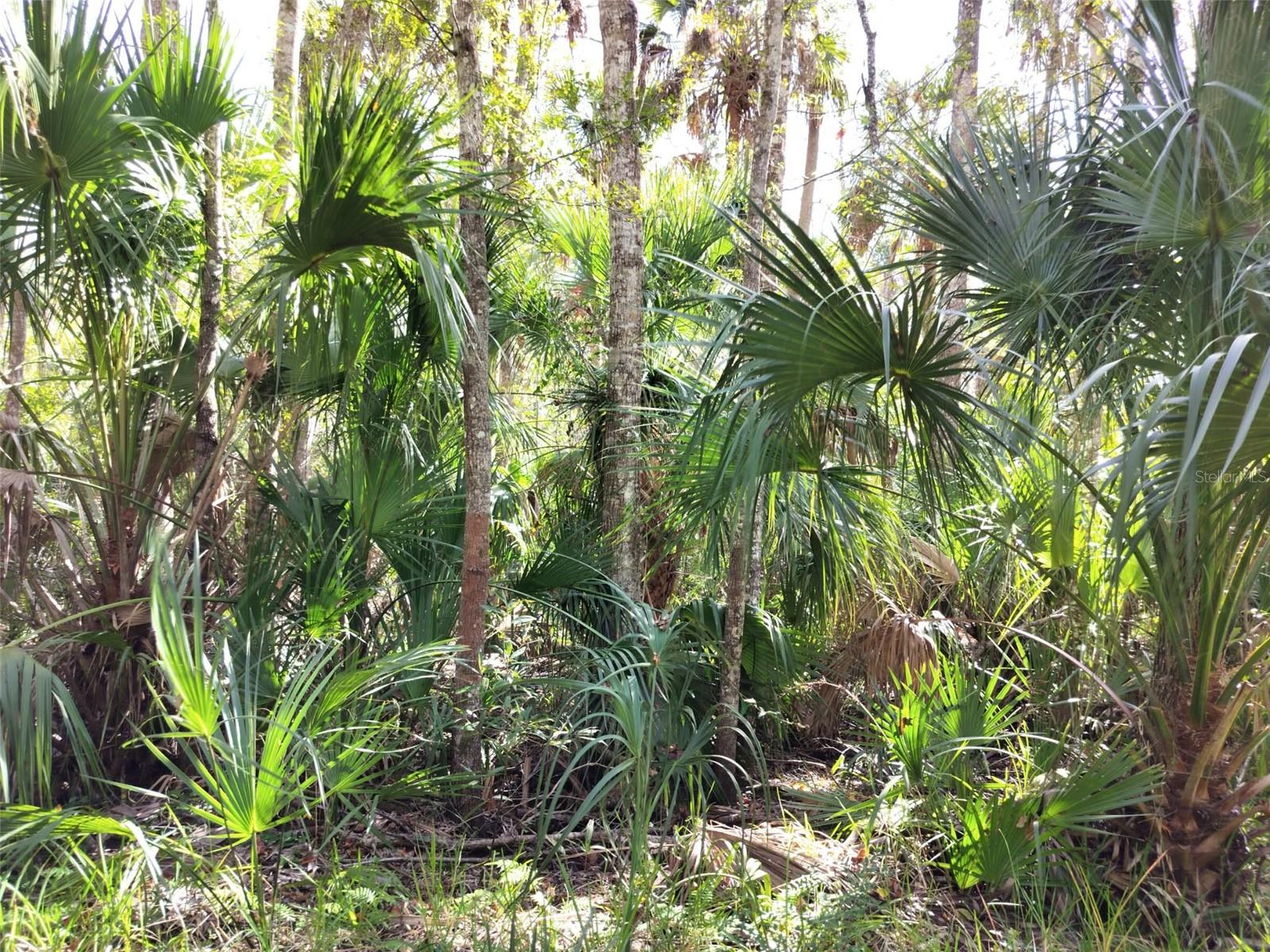 Image 10 of 15 For 10008 Pennsylvania Street