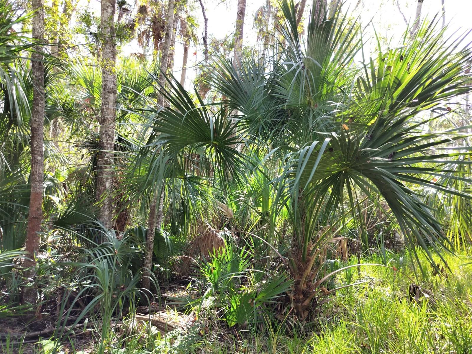 Image 11 of 15 For 10008 Pennsylvania Street