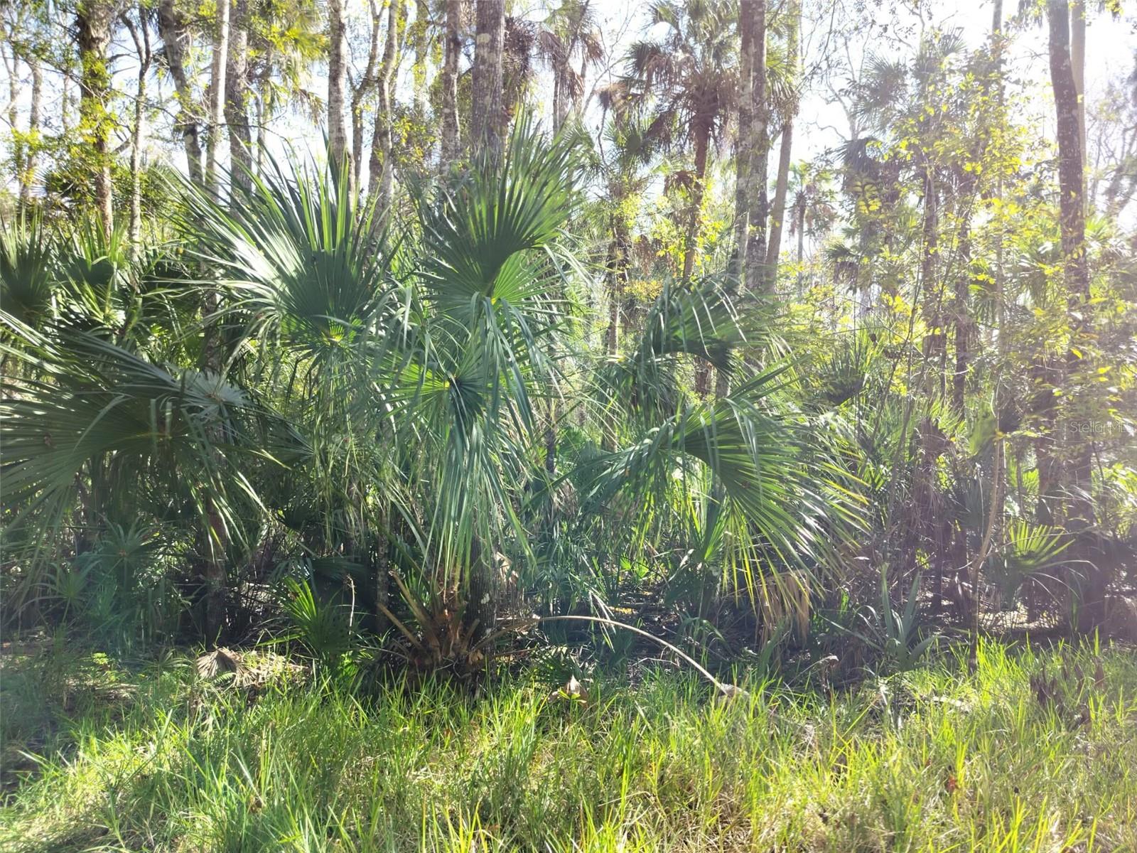 Image 12 of 15 For 10008 Pennsylvania Street