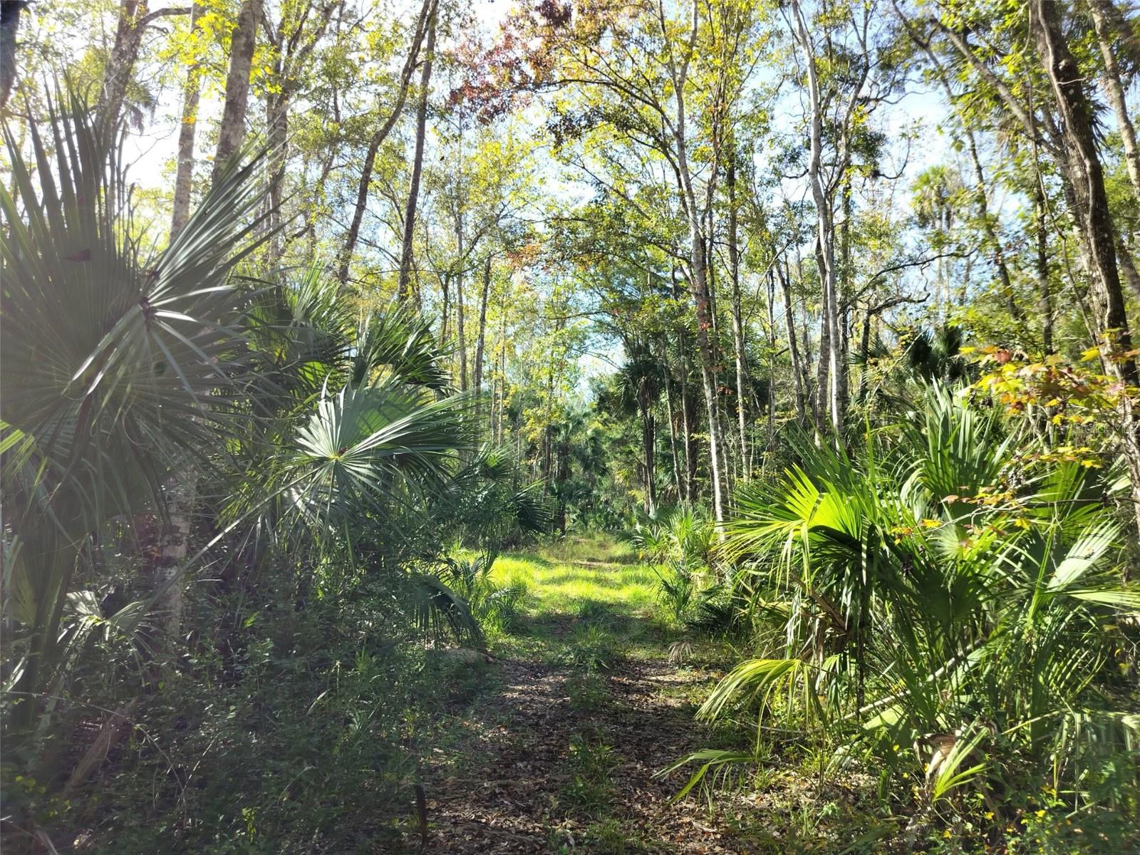 Image 13 of 15 For 10008 Pennsylvania Street