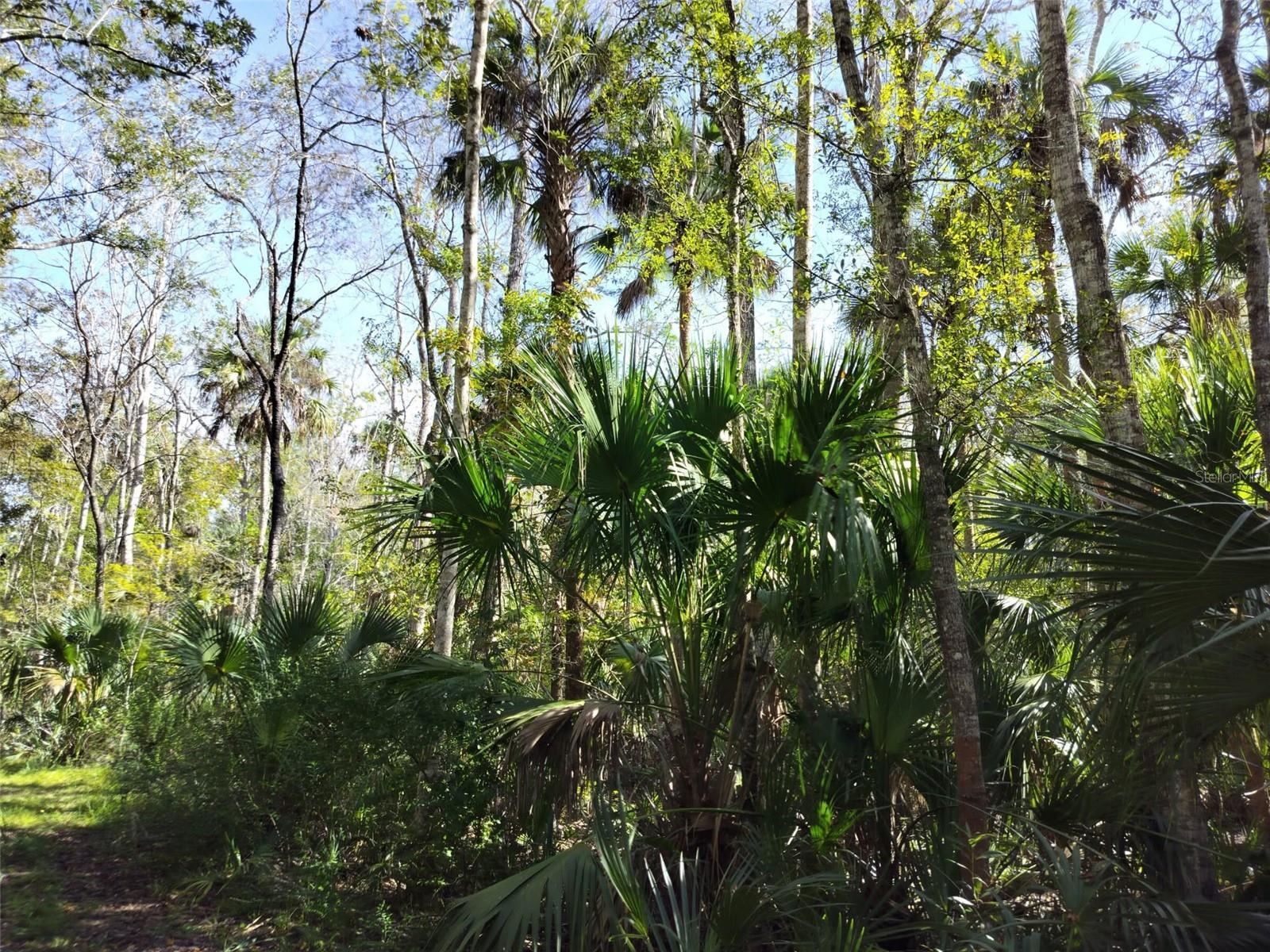 Image 14 of 15 For 10008 Pennsylvania Street