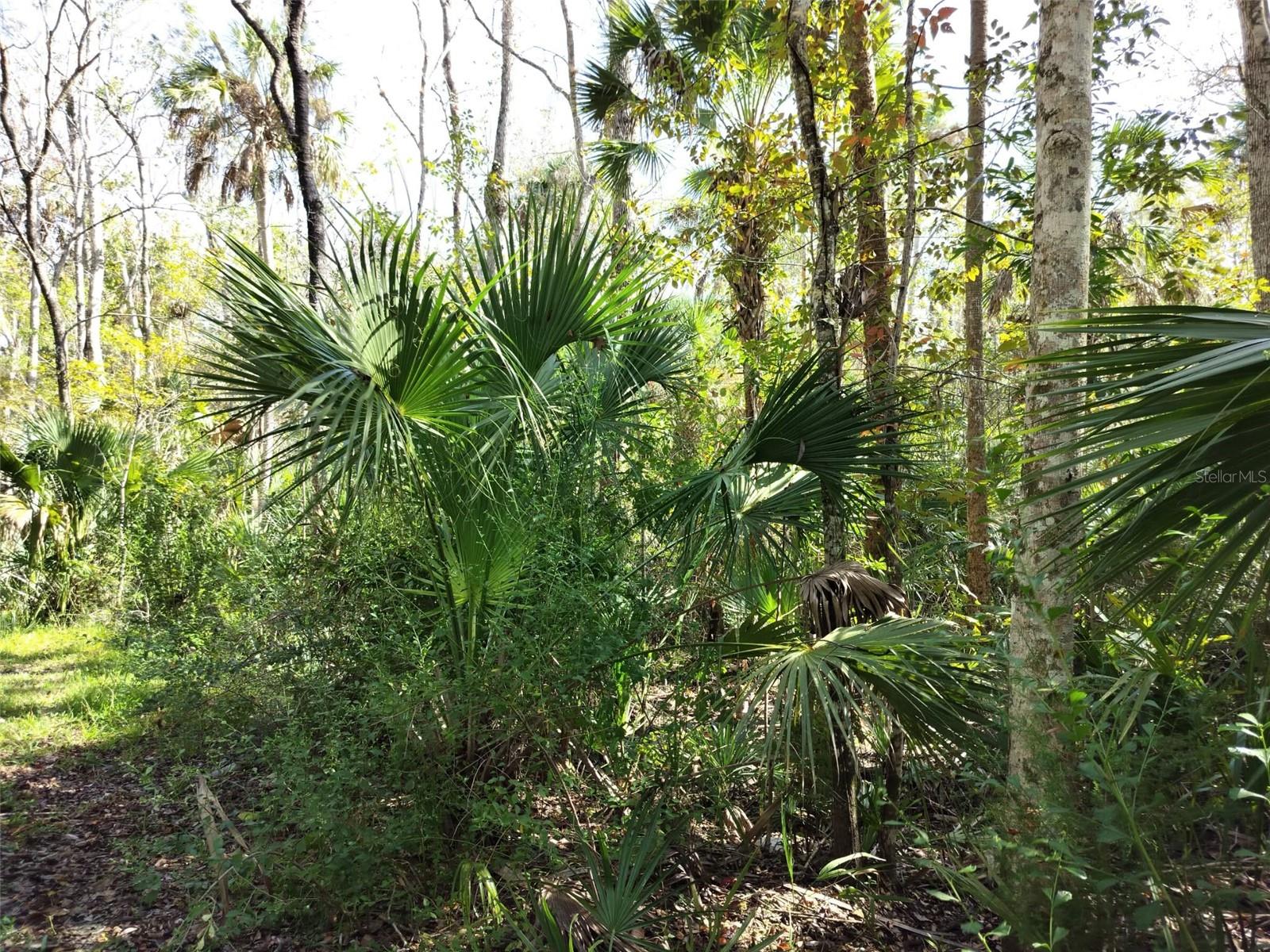 Image 15 of 15 For 10008 Pennsylvania Street