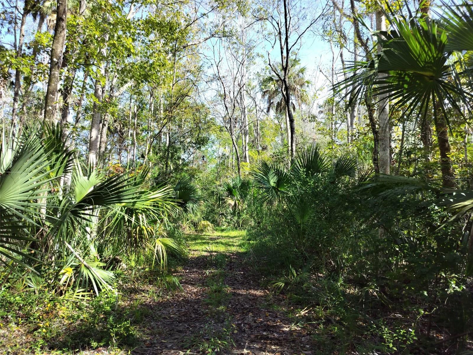 Image 2 of 15 For 10008 Pennsylvania Street