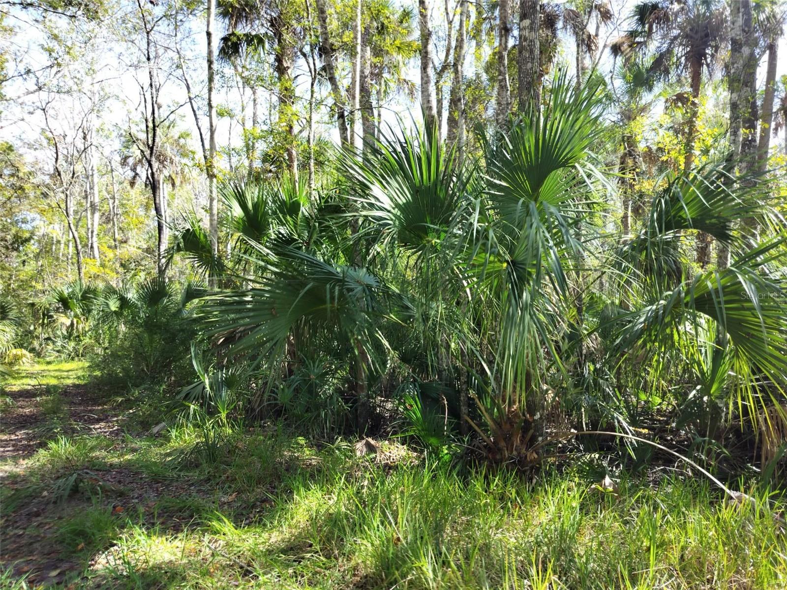 Image 3 of 15 For 10008 Pennsylvania Street