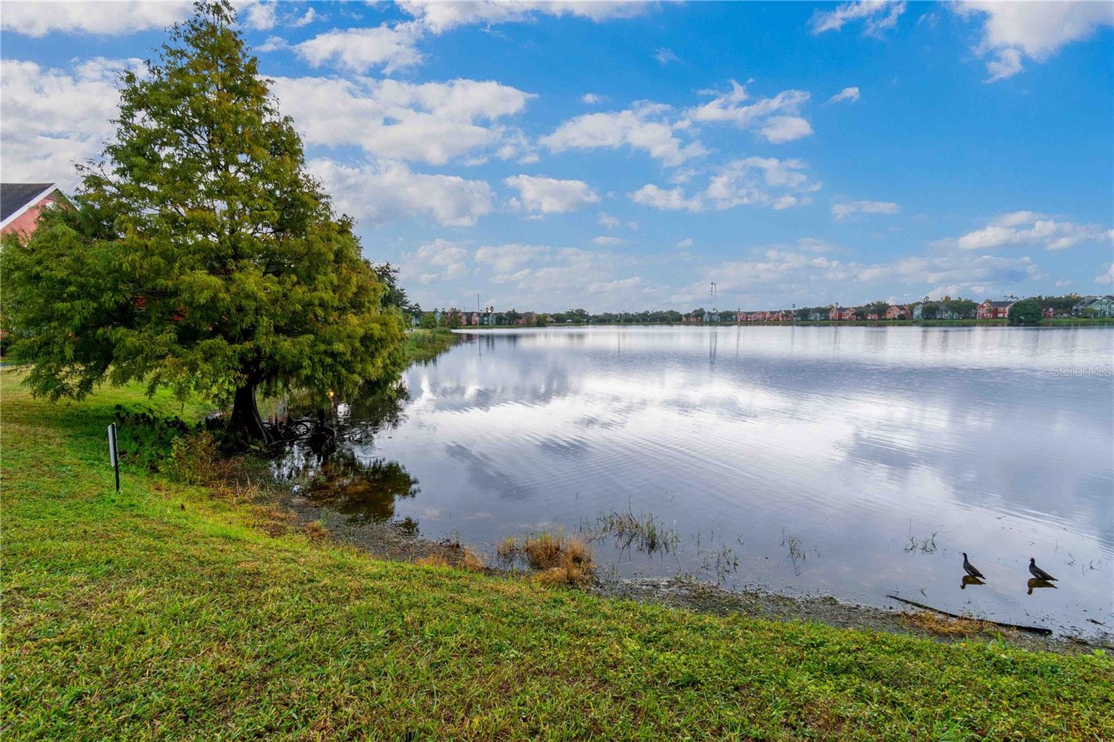 Image 40 of 52 For 9262 Lake Chase Island Way