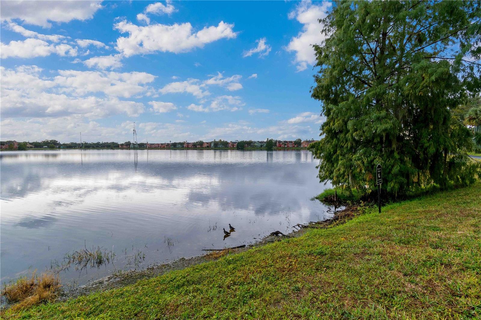 Image 41 of 52 For 9262 Lake Chase Island Way