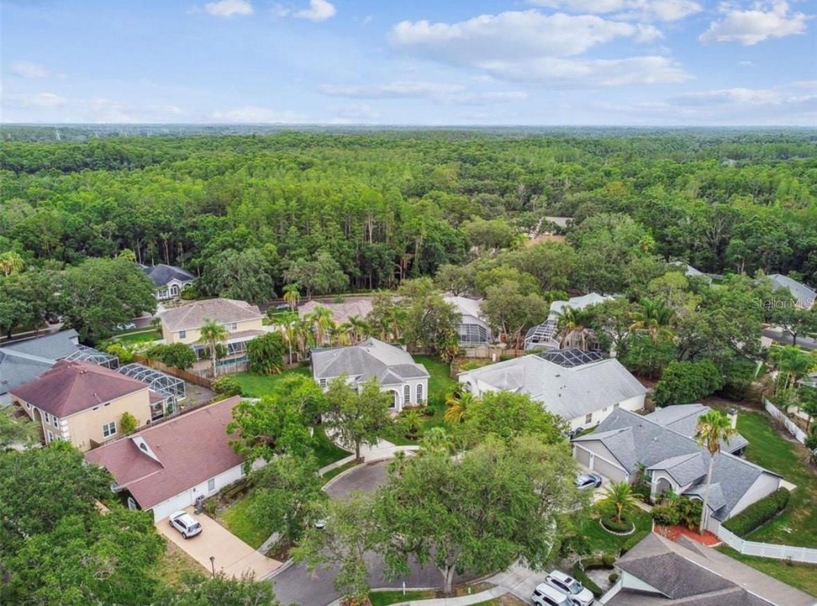 Image 91 of 92 For 16003 Ridley Place