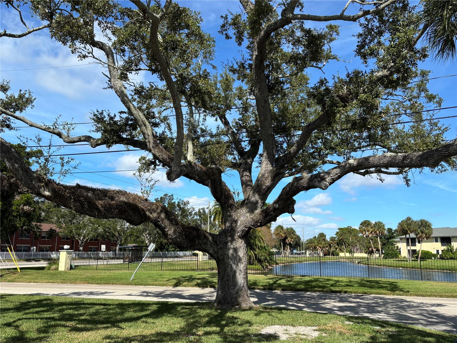 Image 33 of 33 For 5807 Erin Lane S C