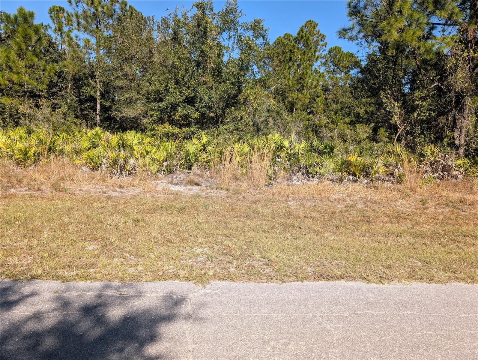 Details for Oleander Drive, INDIAN LAKE ESTATES, FL 33855