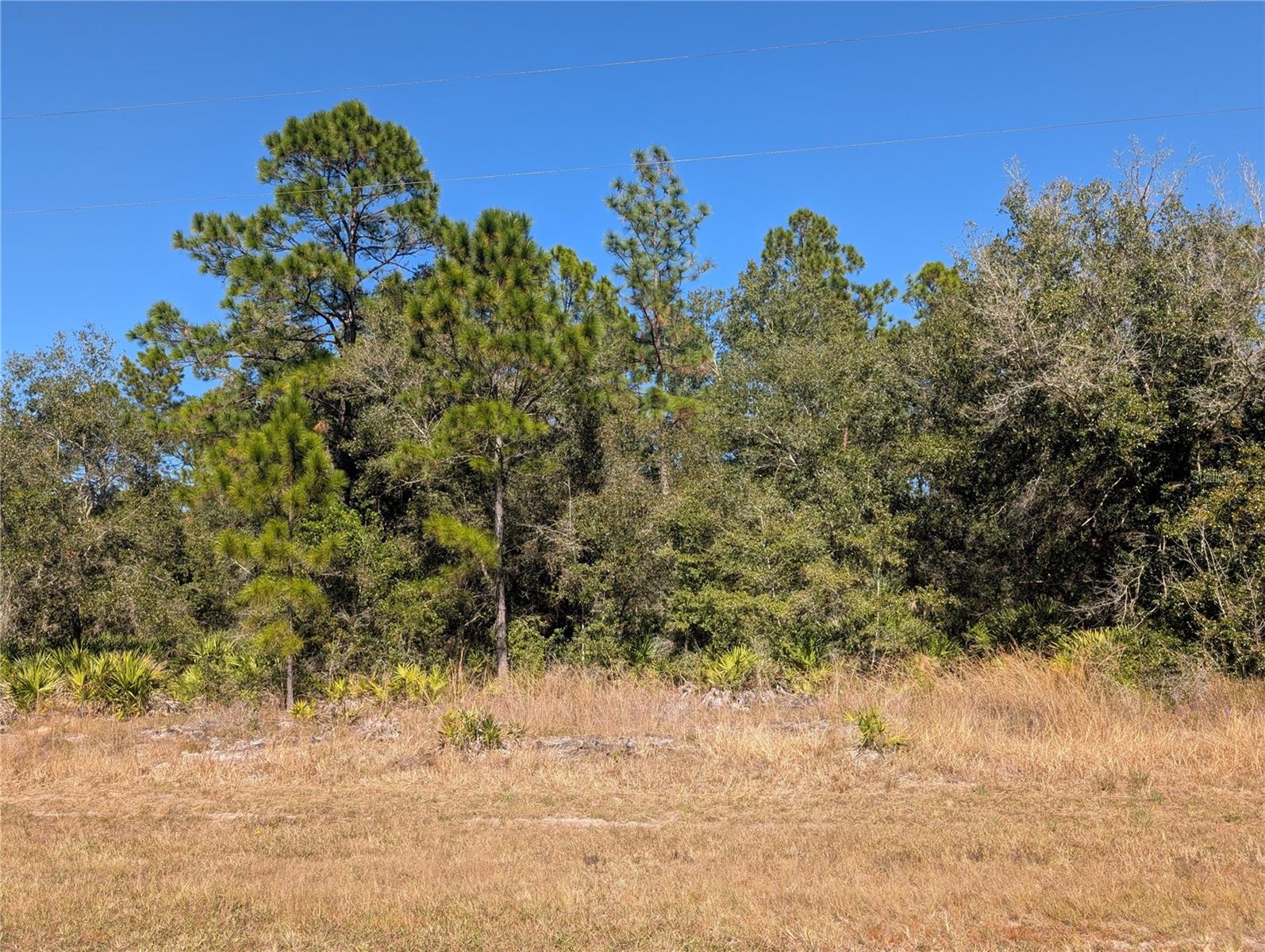 Image 2 of 46 For Oleander Drive