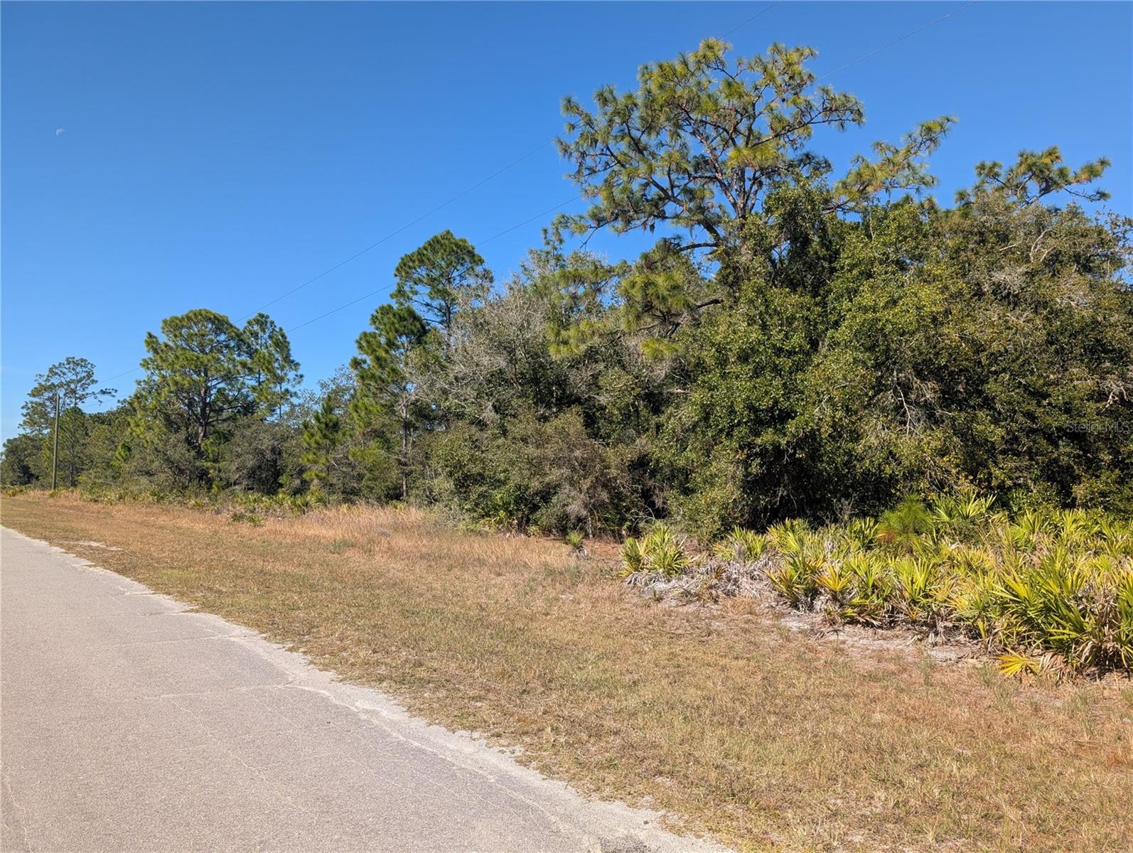 Image 4 of 46 For Oleander Drive