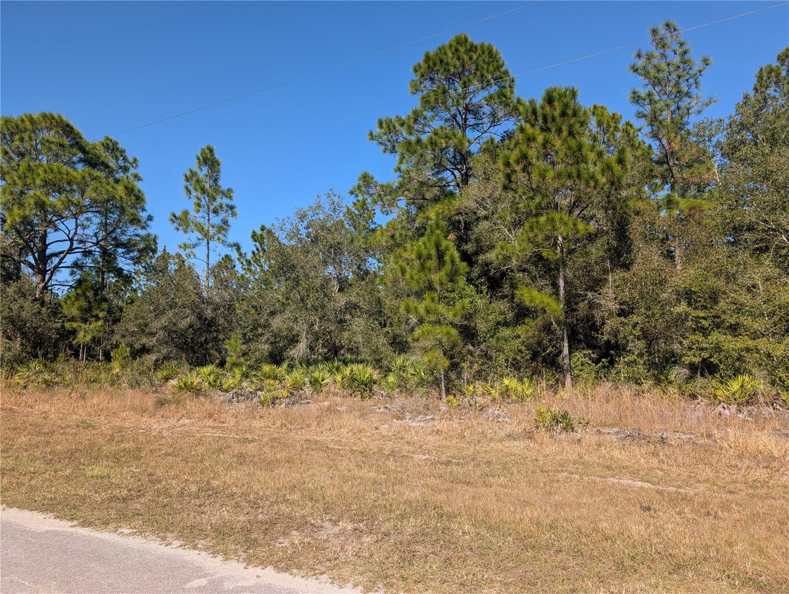 Image 5 of 46 For Oleander Drive