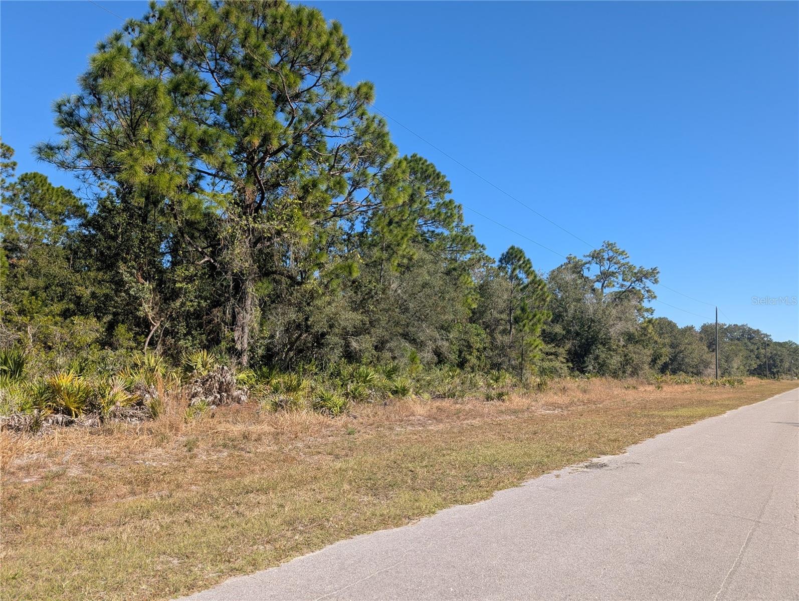 Image 6 of 46 For Oleander Drive