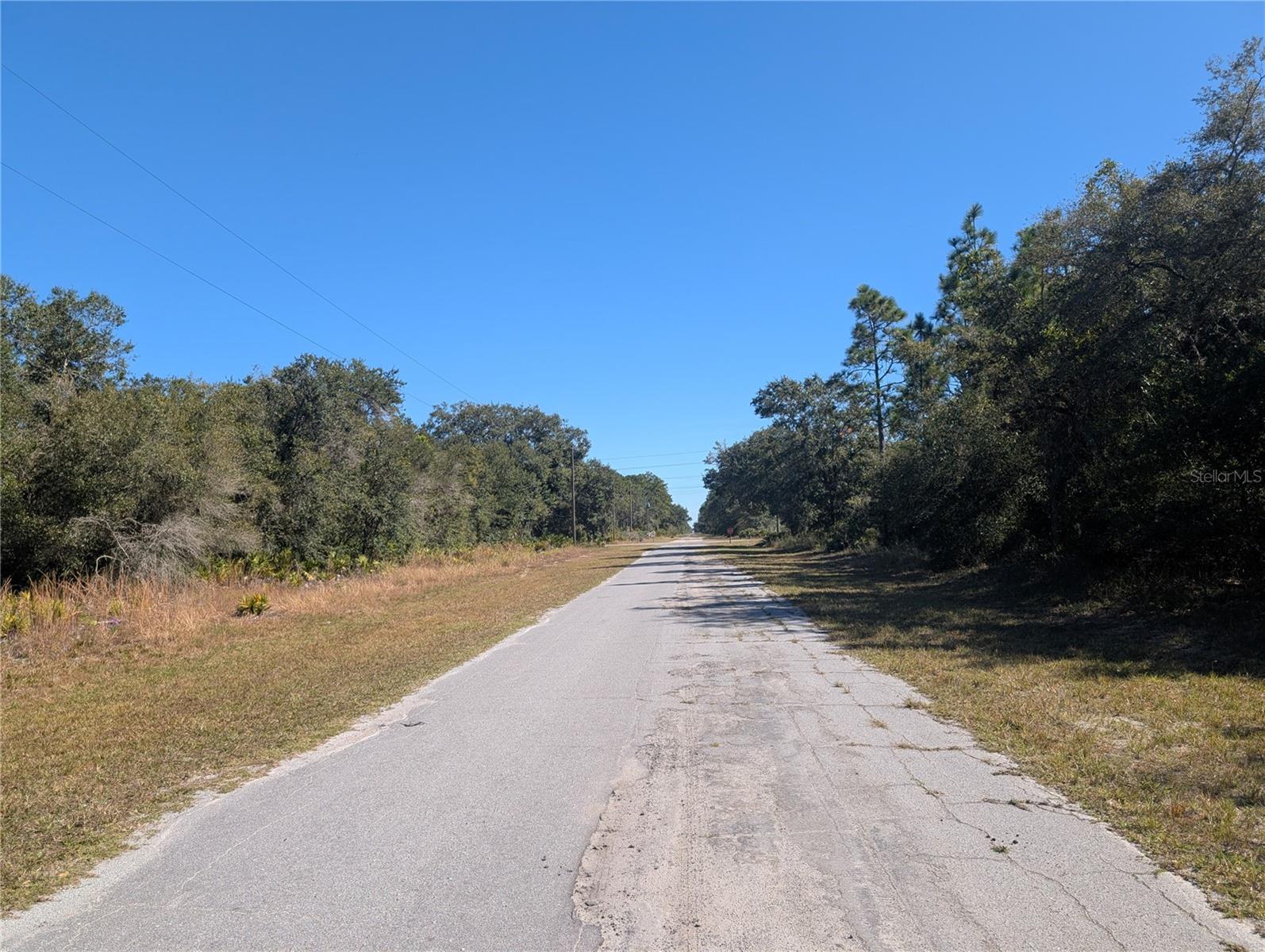 Image 8 of 46 For Oleander Drive
