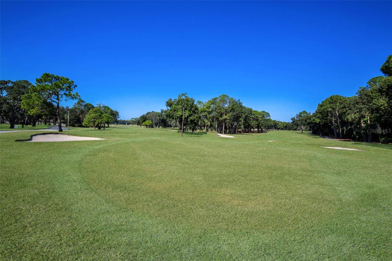 Image 35 of 53 For 36750 Us Highway 19 N 28-2017