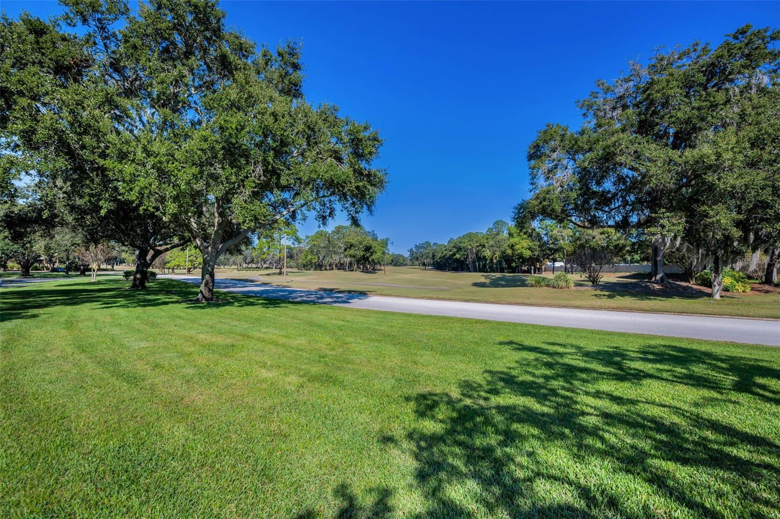 Image 36 of 53 For 36750 Us Highway 19 N 28-2017