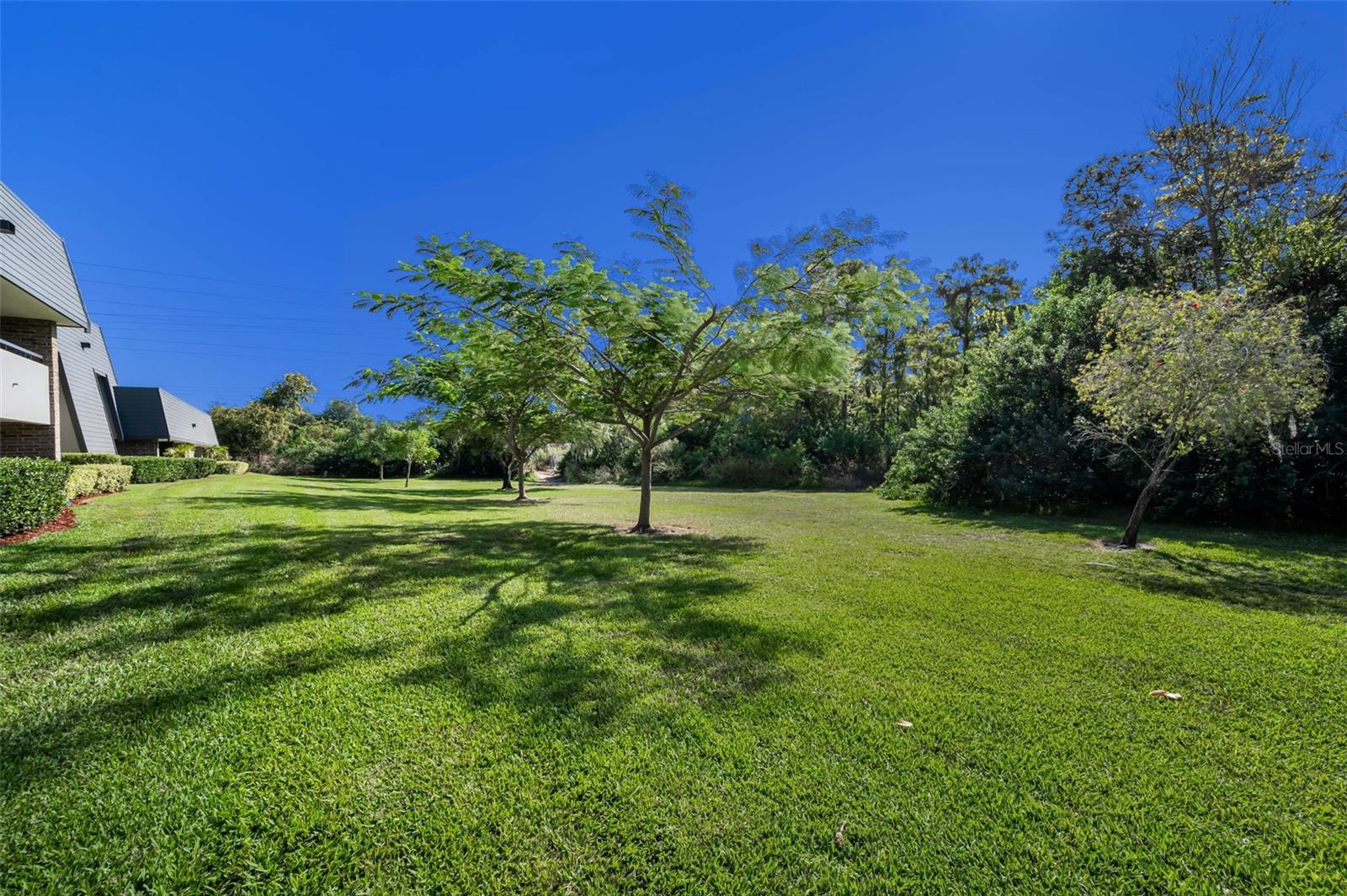 Image 37 of 53 For 36750 Us Highway 19 N 28-2017