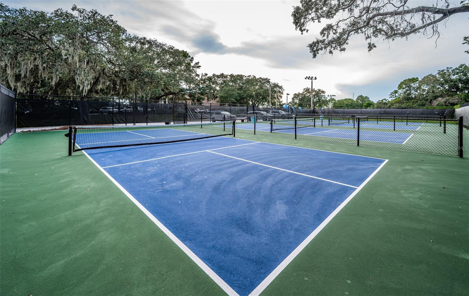 Image 49 of 53 For 36750 Us Highway 19 N 28-2017