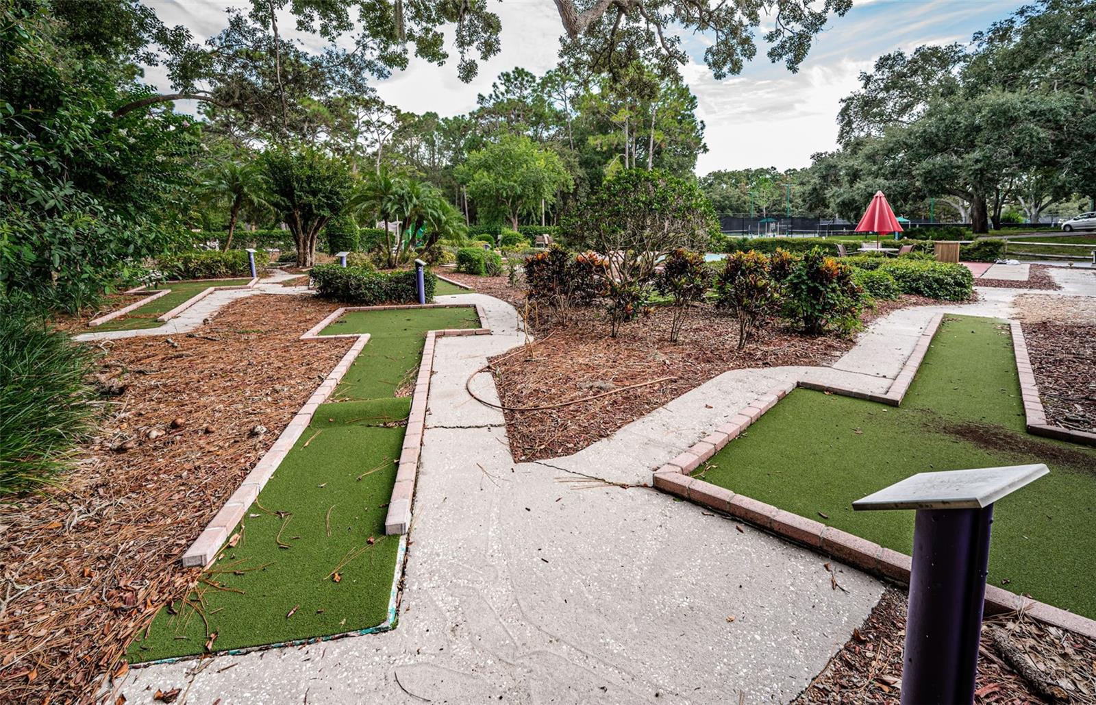 Image 50 of 53 For 36750 Us Highway 19 N 28-2017