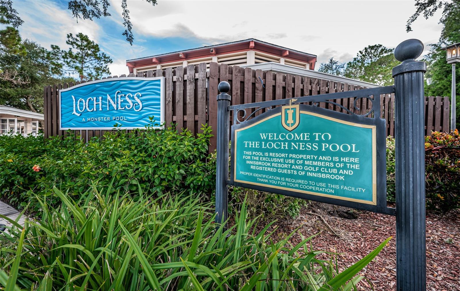 Image 52 of 53 For 36750 Us Highway 19 N 28-2017