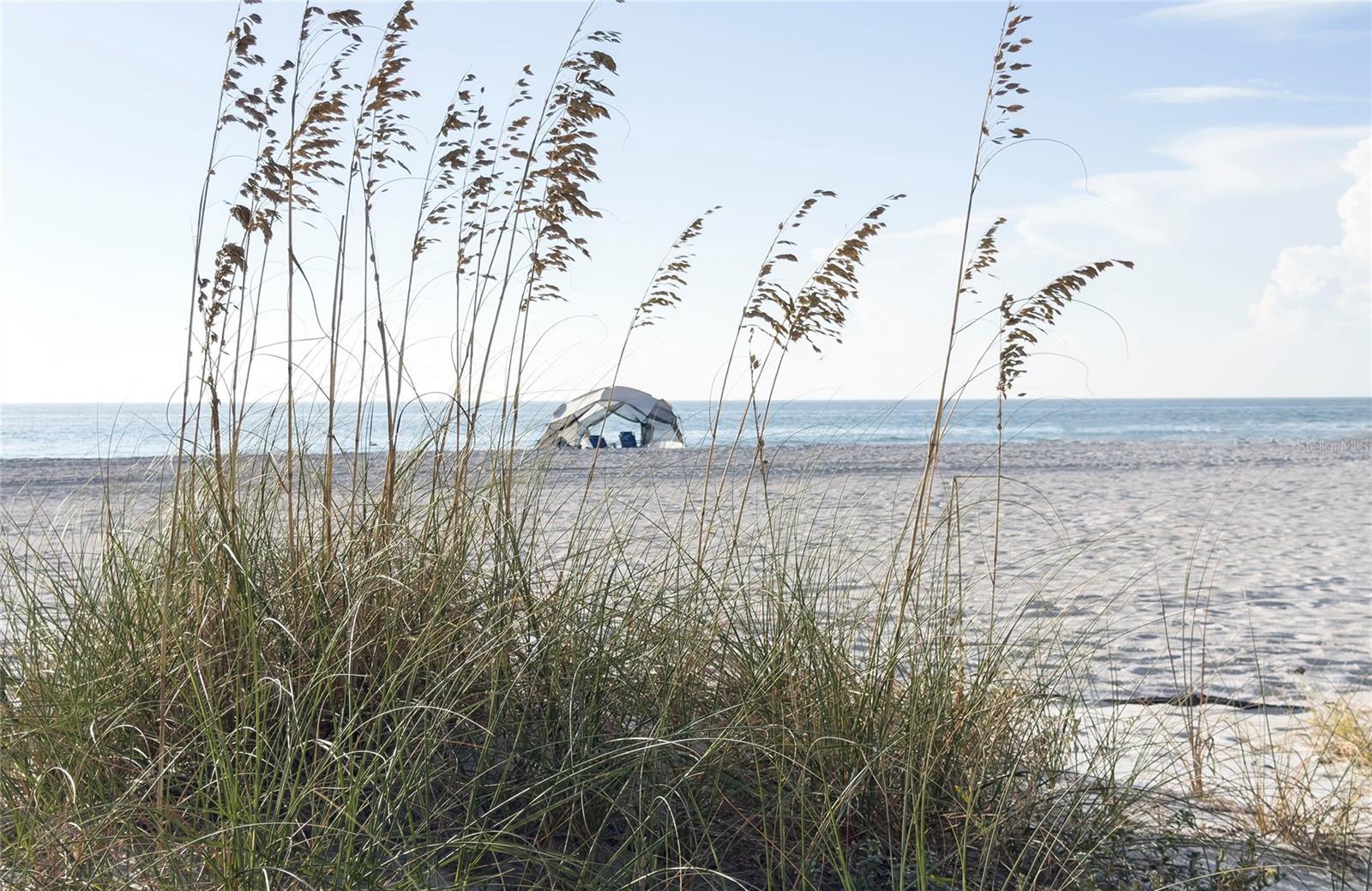 Image 6 of 30 For 19506 Gulf Boulevard 4