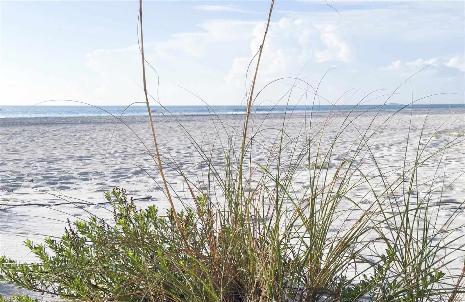 Image 7 of 30 For 19506 Gulf Boulevard 4